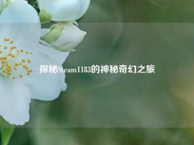 探秘Steam1183的神秘奇幻之旅