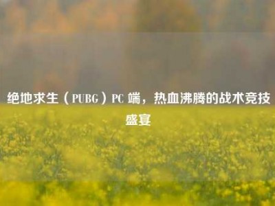 绝地求生（PUBG）PC 端，热血沸腾的战术竞技盛宴