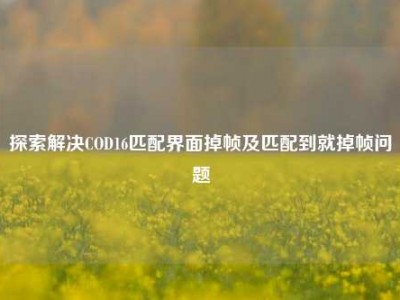 探索解决COD16匹配界面掉帧及匹配到就掉帧问题