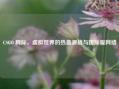CSGO 网际，虚拟世界的热血激战与国际服网络
