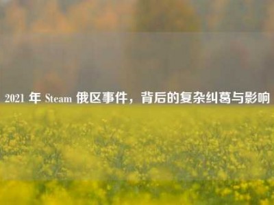 2021 年 Steam 俄区事件，背后的复杂纠葛与影响