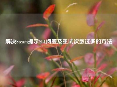 解决Steam提示SLL问题及重试次数过多的方法