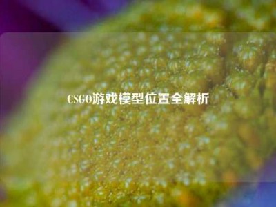 CSGO游戏模型位置全解析