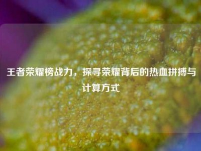 王者荣耀榜战力，探寻荣耀背后的热血拼搏与计算方式