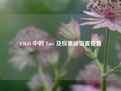CSGO 中的 Toto 及投票键设置位置