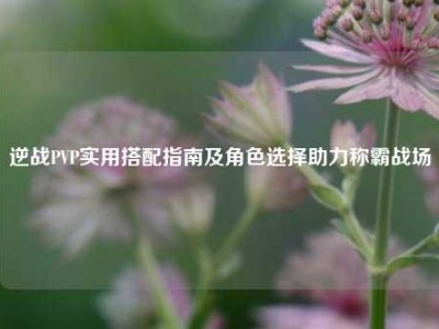 逆战PVP实用搭配指南及角色选择助力称霸战场