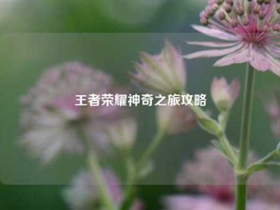 王者荣耀神奇之旅攻略