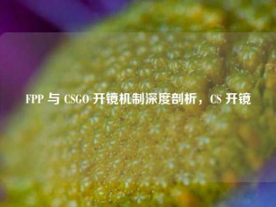 FPP 与 CSGO 开镜机制深度剖析，CS 开镜