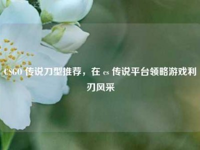 CSGO 传说刀型推荐，在 cs 传说平台领略游戏利刃风采