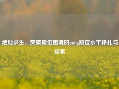 绝地求生，突破段位困境的pubg段位水平挣扎与探索