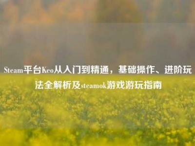 Steam平台Keo从入门到精通，基础操作、进阶玩法全解析及steamok游戏游玩指南