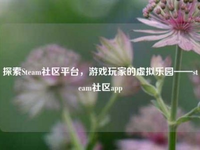 探索Steam社区平台，游戏玩家的虚拟乐园——steam社区app
