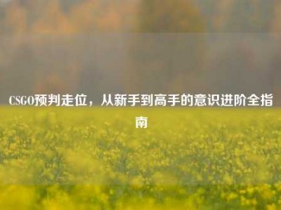 CSGO预判走位，从新手到高手的意识进阶全指南