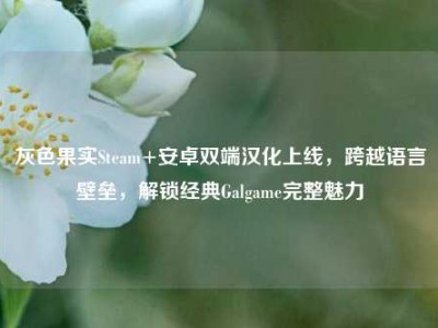 灰色果实Steam+安卓双端汉化上线，跨越语言壁垒，解锁经典Galgame完整魅力