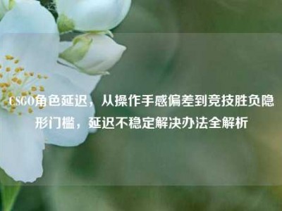 CSGO角色延迟，从操作手感偏差到竞技胜负隐形门槛，延迟不稳定解决办法全解析