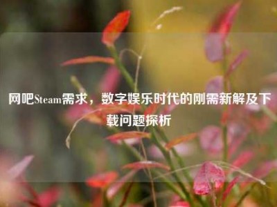 网吧Steam需求，数字娱乐时代的刚需新解及下载问题探析