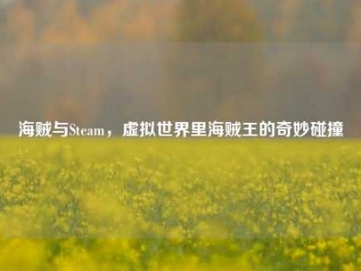 海贼与Steam，虚拟世界里海贼王的奇妙碰撞