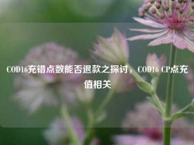 COD16充错点数能否退款之探讨，COD16 CP点充值相关