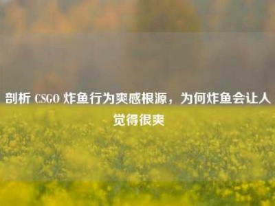 剖析 CSGO 炸鱼行为爽感根源，为何炸鱼会让人觉得很爽