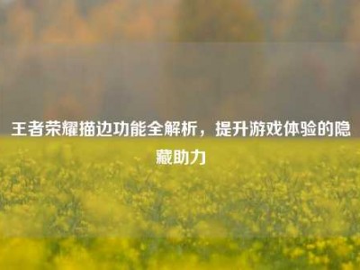 王者荣耀描边功能全解析，提升游戏体验的隐藏助力