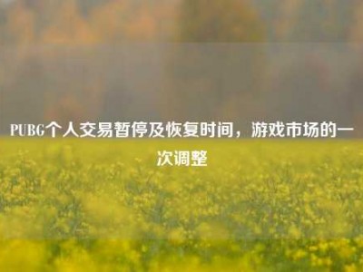 PUBG个人交易暂停及恢复时间，游戏市场的一次调整