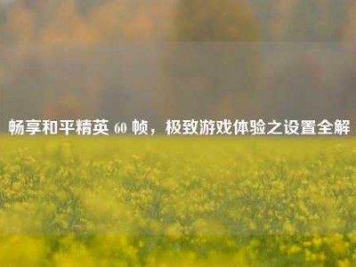 畅享和平精英 60 帧，极致游戏体验之设置全解