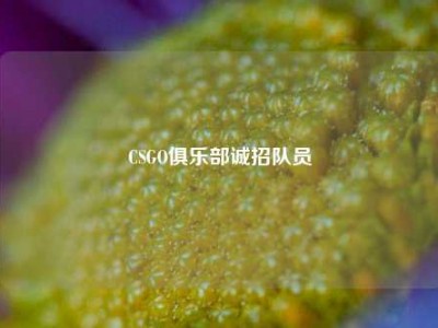 CSGO俱乐部诚招队员