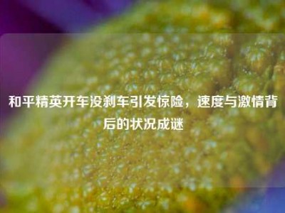 和平精英开车没刹车引发惊险，速度与激情背后的状况成谜