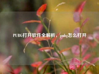 PUBG打开软件全解析，pubg怎么打开