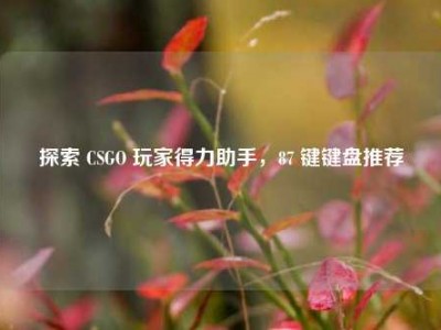 探索 CSGO 玩家得力助手，87 键键盘推荐