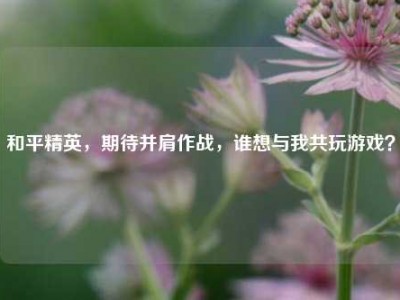 和平精英，期待并肩作战，谁想与我共玩游戏？