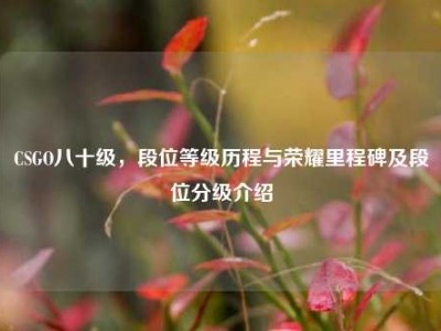 CSGO八十级，段位等级历程与荣耀里程碑及段位分级介绍