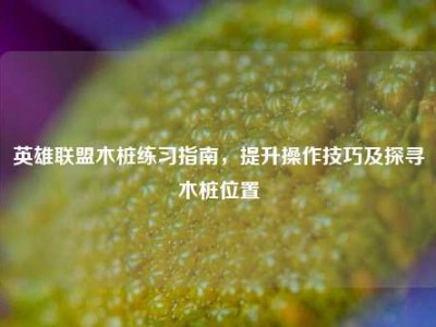英雄联盟木桩练习指南，提升操作技巧及探寻木桩位置