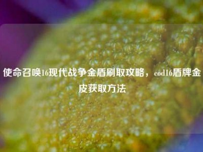 使命召唤16现代战争金盾刷取攻略，cod16盾牌金皮获取方法