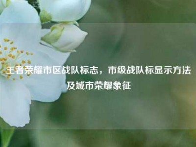 王者荣耀市区战队标志，市级战队标显示方法及城市荣耀象征