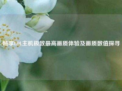 畅享LOL主机极致最高画质体验及画质数值探寻