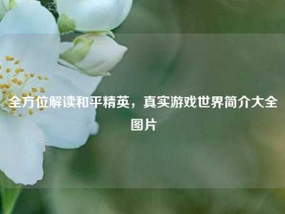 全方位解读和平精英，真实游戏世界简介大全图片