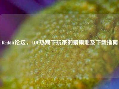 Reddit论坛，LOL热潮下玩家的聚集地及下载指南