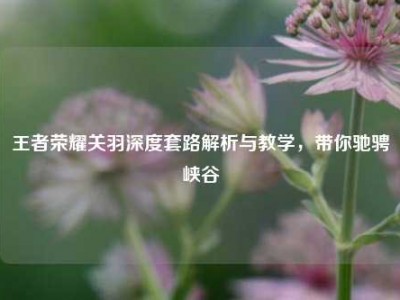 王者荣耀关羽深度套路解析与教学，带你驰骋峡谷