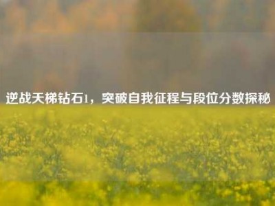 逆战天梯钻石1，突破自我征程与段位分数探秘