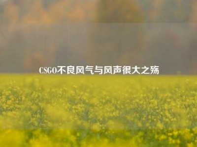 CSGO不良风气与风声很大之殇
