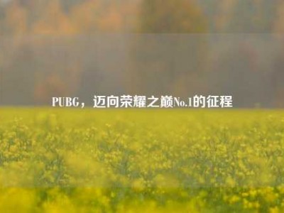 PUBG，迈向荣耀之巅No.1的征程