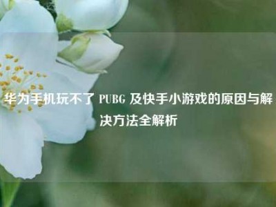 华为手机玩不了 PUBG 及快手小游戏的原因与解决方法全解析
