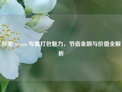 探索 Steam 专属打包魅力，节省金额与价值全解析