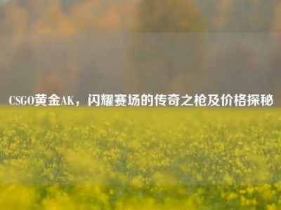 CSGO黄金AK，闪耀赛场的传奇之枪及价格探秘