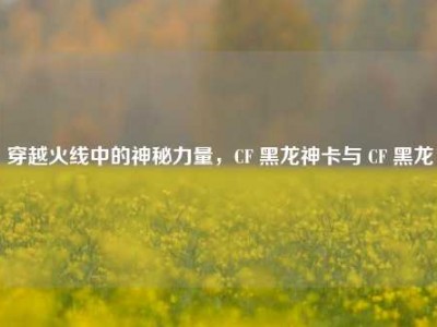 穿越火线中的神秘力量，CF 黑龙神卡与 CF 黑龙