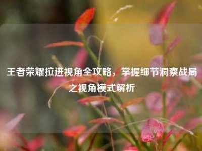王者荣耀拉进视角全攻略，掌握细节洞察战局之视角模式解析