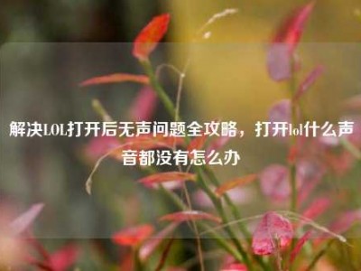 解决LOL打开后无声问题全攻略，打开lol什么声音都没有怎么办