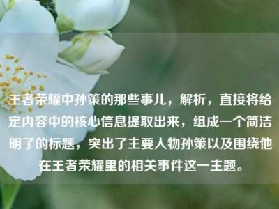王者荣耀中孙策的那些事儿，解析，直接将给定内容中的核心信息提取出来，组成一个简洁明了的标题，突出了主要人物孙策以及围绕他在王者荣耀里的相关事件这一主题。