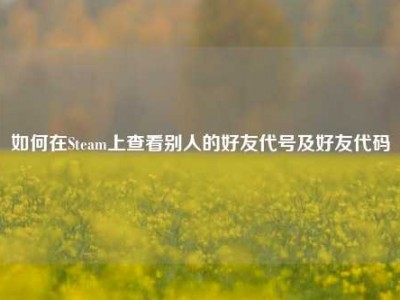 如何在Steam上查看别人的好友代号及好友代码